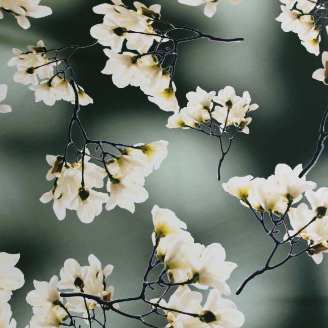 Tkanina wiskoza jedwabista, gałązki magnolii